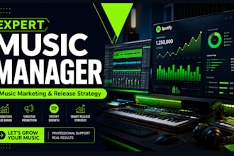 create your music marketing strategy and release plan as your artist manager