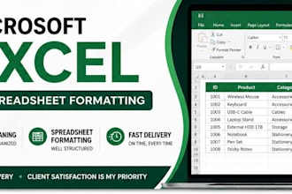 microsoft excel data entry, spreadsheet formatting and data cleaning