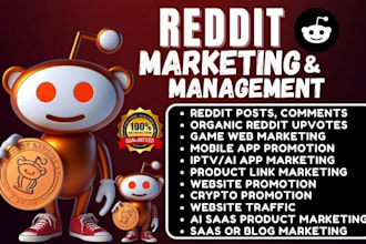 do reddit SEO post to promote website on reddit,  instagram