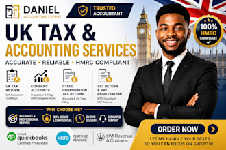 file UK tax return, company accounts, ct600 and vat return