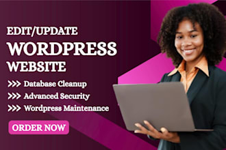 edit wordpress website update wordpress website