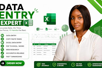 be your data entry expert for excel, PDF and word