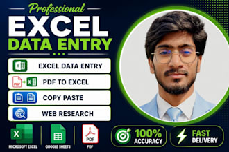 do excel data entry, copy paste, PDF to excel, web research