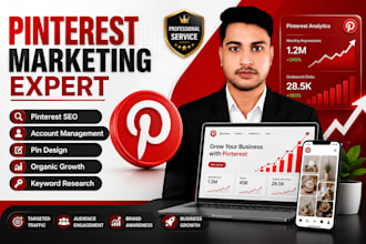 do pinterest marketing, seo,organic traffic, account growth