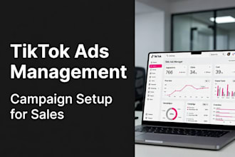 setup and manage tiktok ads campaigns, meta ads google ads tiktok marketing SEO