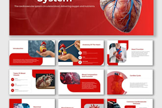 design a professional canva presentation or powerpoint slides