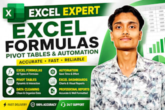 fix excel formulas, automate spreadsheets,data cleaning