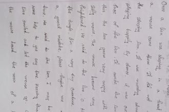 provide neat and beautiful handwriting services
