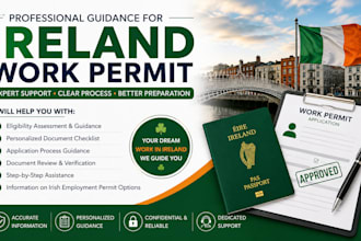 provide professional ireland work permit application guidance