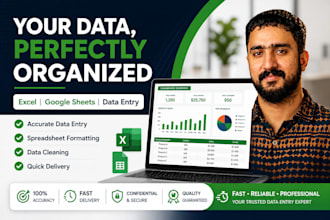do accurate data entry in microsoft excel and google sheets