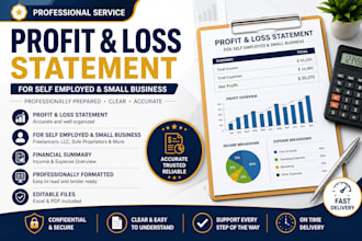 prepare profit and loss statement for self employed and small business