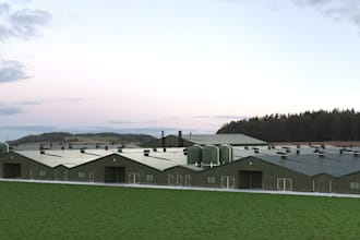 design 3d poultry farm, chicken house design, and realistic farm visualization