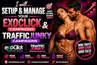 set up manage and optimize your traffic junky campaigns exoclick