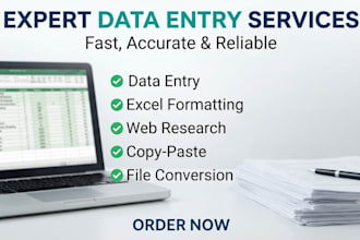 do professional data entry, ms excel and word formatting