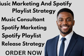 create a custom music marketing and spotify playlist strategy for your release