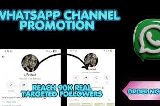 grow your whatsapp channel 900k followers whatsapp channel promotion