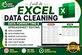 do fast excel data cleaning, formatting and spreadsheet editing