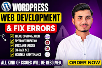 fix wordpress website errors and issues