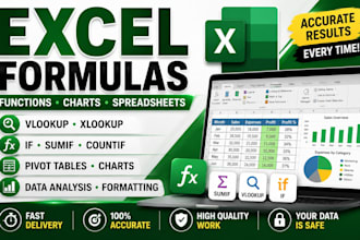 do data entry, spread sheets, excel formulas, charts, tables