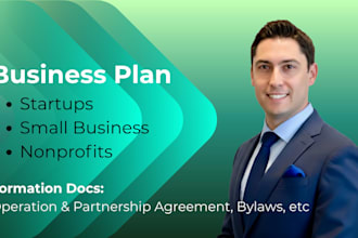 write a professional business or strategic plan for your company