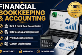 do professional bookkeeping, bank reconciliation, and excel accounting