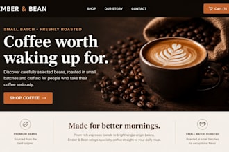 design a professional shopify store for your business
