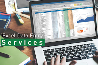 do expert PDF to excel, copy paste, and data cleaning work