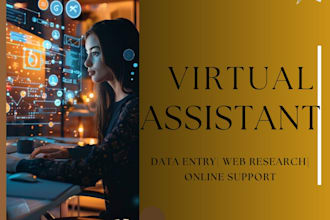 be your virtual assistant for data entry and online tasks