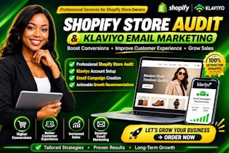provide a professional shopify store audit and klaviyo email strategy