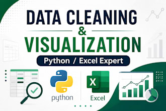 clean and organize your data professionally