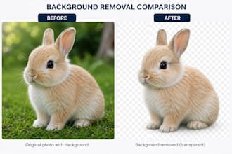 open a photo background removal service using ai