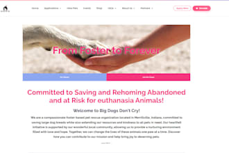fix or improve your wordpress website