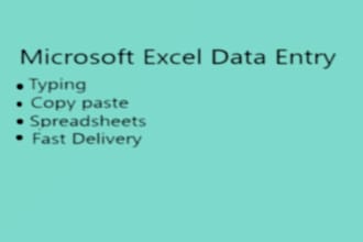 do microsoft excel data entry and typing