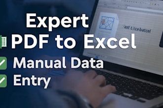 do accurate PDF to excel and data entry work