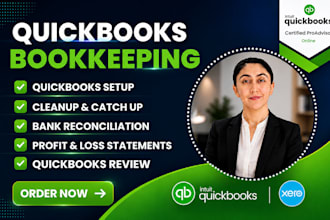 do quickbooks cleanup, setup and bookkeeping  in quickbooks online