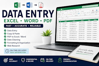 realizaré tareas de entrada de datos en excel, google sheets y word