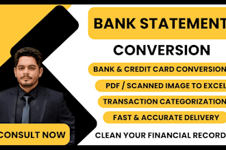 convert bank statement to excel and data entry