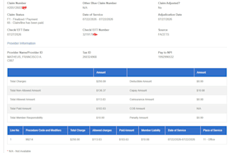 provide full rcm process and virtual assistant services