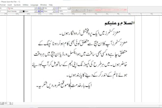 do professional urdu typing, formatting,