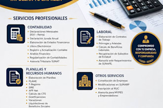 be your accountant for sunat taxes payroll and sap in peru