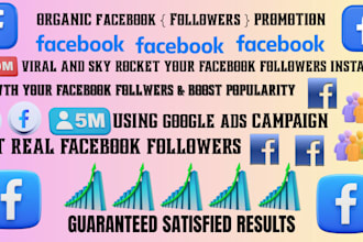 do facebook page promotion for organic growth using google campaign