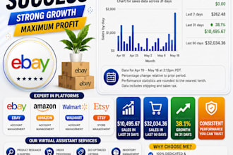provide professional virtual assistant and ecommerce support
