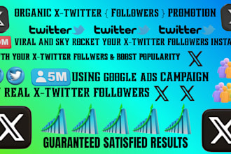 do twitter page promotion for organic growth using google campaign