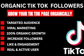 do professional tiktok page promotion for organic followers growth using ads