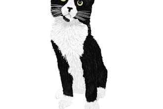 create digital pet portraits