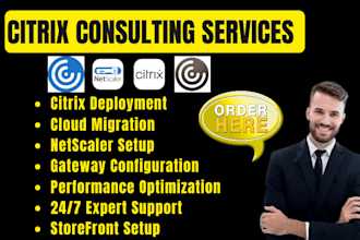 set up citrix workspace daas virtual apps and netscaler