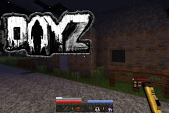 setup a custom dayz server for you