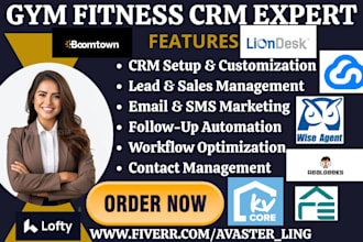 setup wise agent lofty resimpli real geeks zapier crm re followupboss boomtown