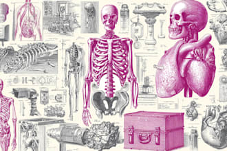 draw anatomy and medical vector illustration