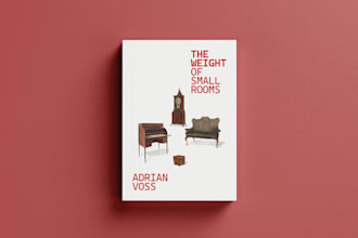 design a conceptual literary fiction book cover
